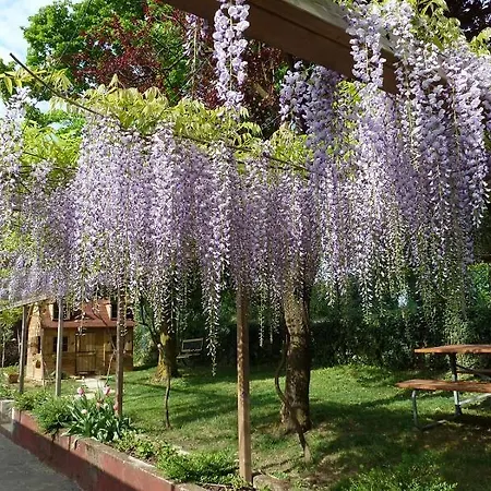 La Casa Trasparente - Locazioni Brevi * Arcugnano