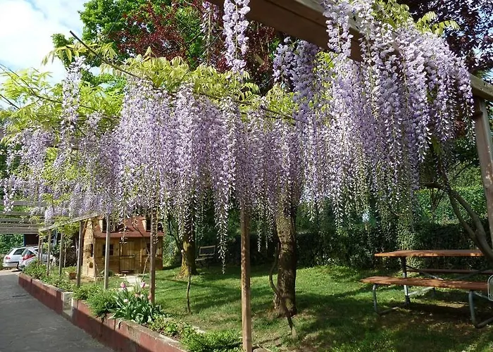 La Casa Trasparente - Locazioni Brevi * Arcugnano